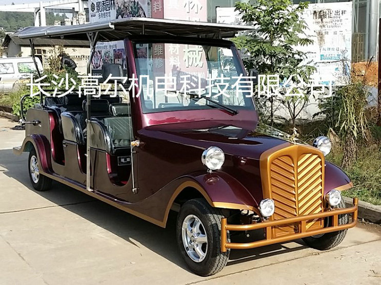 麗發(fā)新城電動看房車
